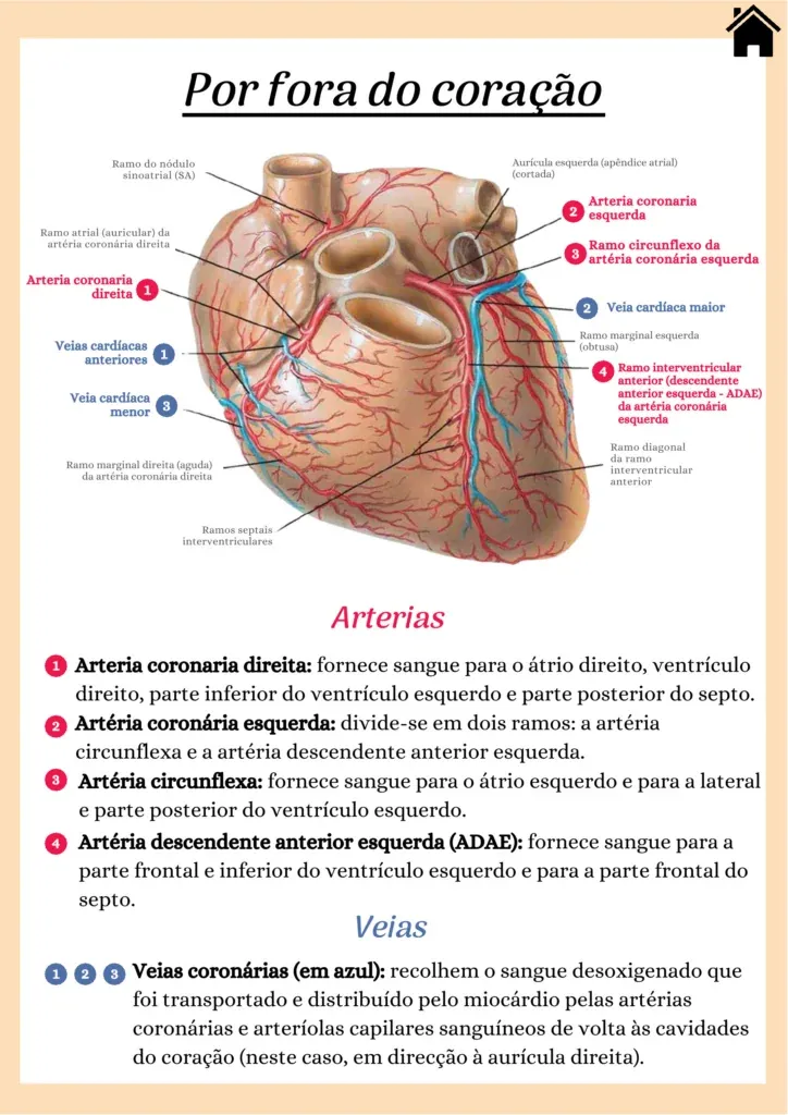 imgi_36_Pagina-7-724x1024